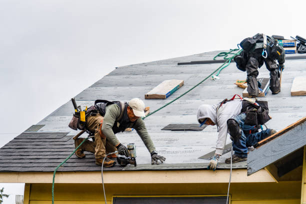 Professional Roofing technician working in Turtle Lake, WI
